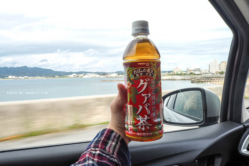 沖繩景點⎮今歸仁城跡 除了櫻花還有絕景