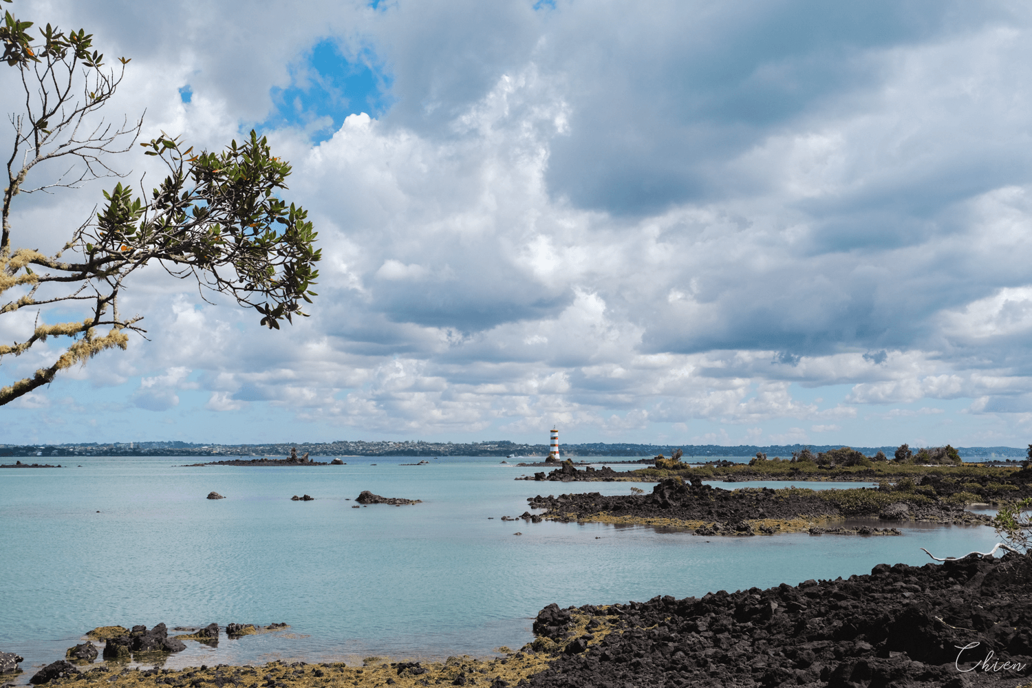 奧克蘭景點：朗伊托托島