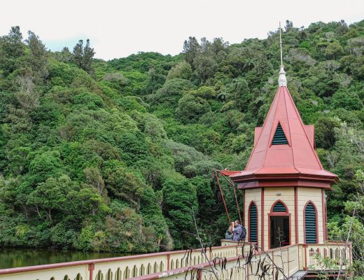 紐西蘭威靈頓⎮Zealandia 西蘭蒂亞生動植物保護區 紐西蘭威靈頓⎮Zealandia 西蘭蒂亞生動植物保護區