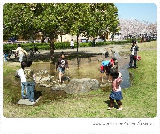 【遊記】櫻花季到來，跟著日本人到公園賞櫻去