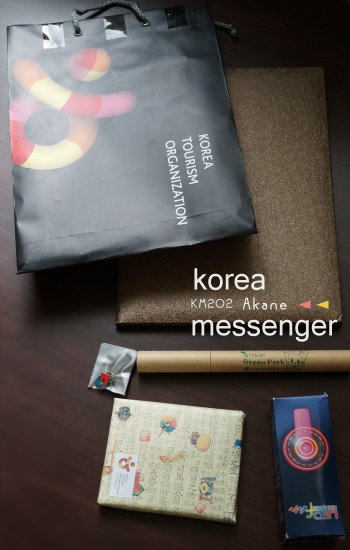 【驥尾計畫】第二屆Korea messenger(KM)入選心得